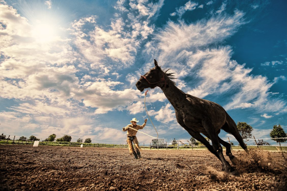 Lifestyle photography of a cowboy and horse in the desert.