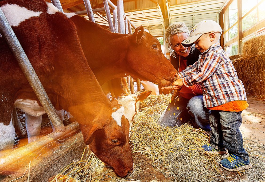 Lifestyle photography of a young boy and woman on a farm with cows