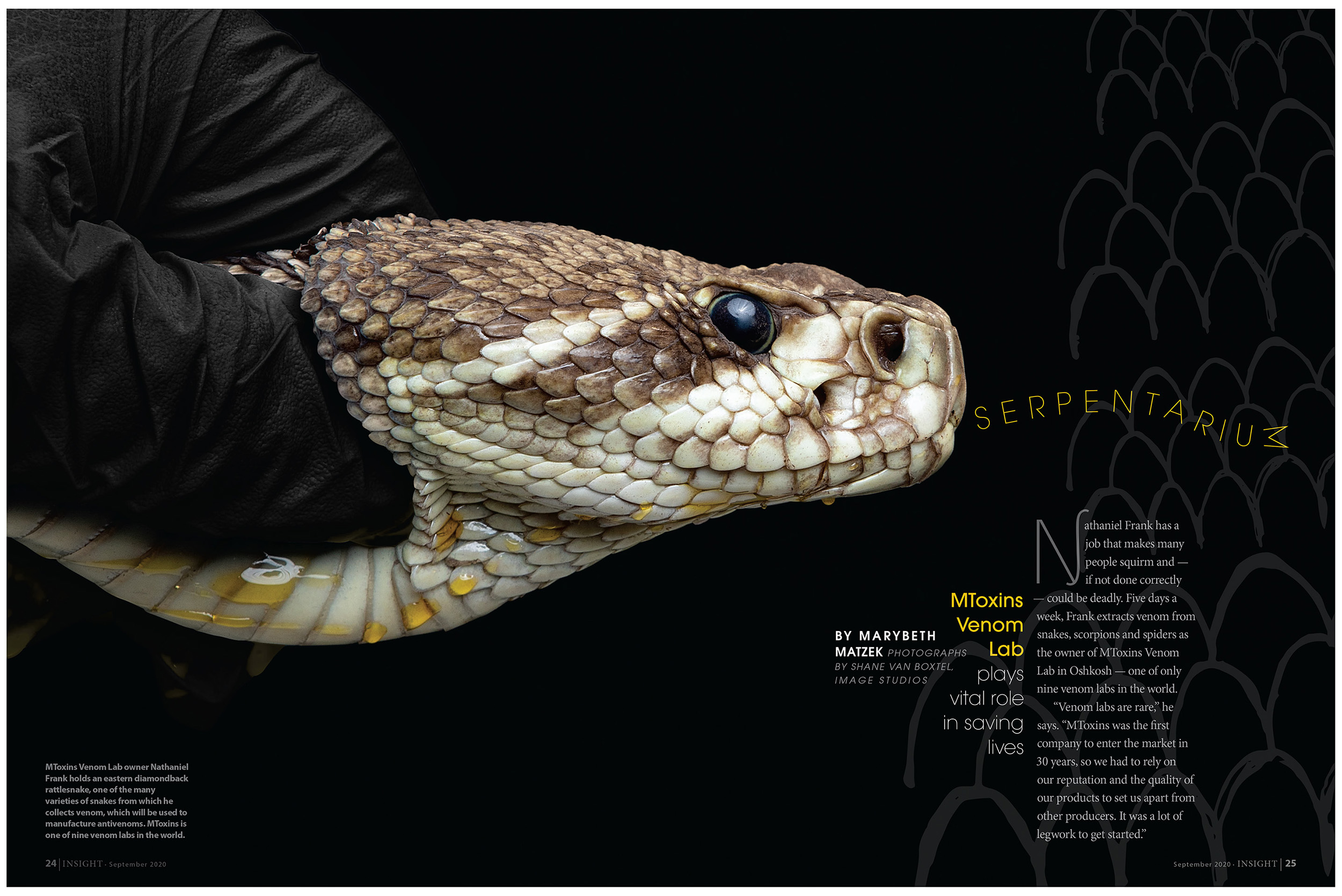 Magazine Publication Photography Animal Snake Business