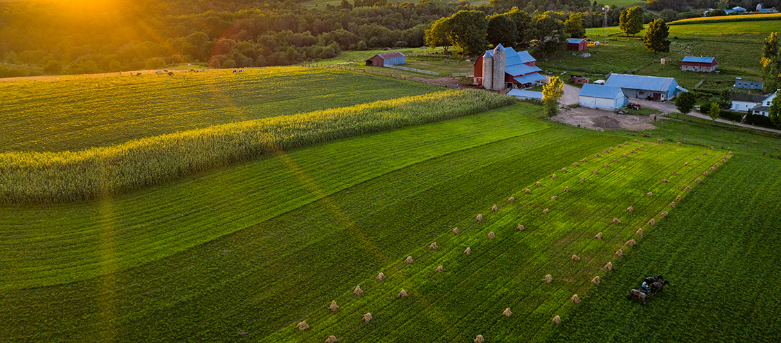 Drone photography of a farm field at sunset