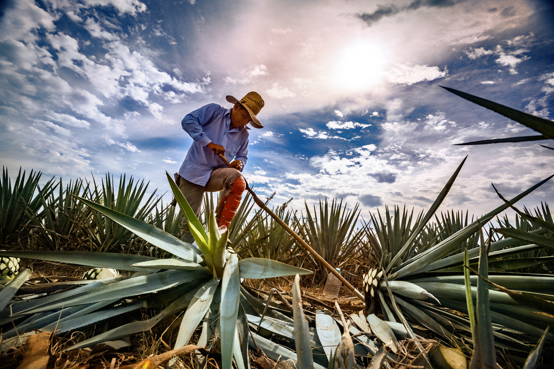 Lifestyle photography of a South American farmer